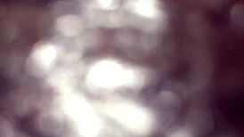 can you handle this latina doctor's blowjob game with a monster cock in the hospital?