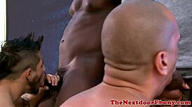 interracial jocks savoring thick cocks in wild group action