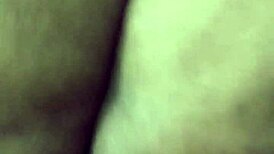 BBW rides reverse sucking cock hard!