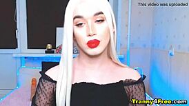 wonder shemale teases with huge cock