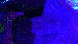 Special texuguinho for testosterone blog