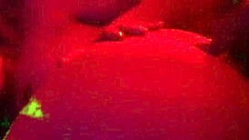 Cute Teen Pussy Gets Hardcore Blowjob And Fucking