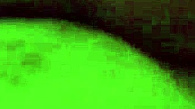 Russian girl squirts at home