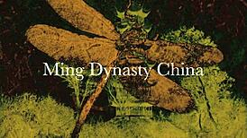 Dark Lantern Presents Dragonfly Antique Lesbian