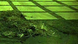 Female Bondage Restraints Unleash Deep Submission and Pleasure