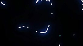 Stepbrother helps with laundry and folds panties neatly in room