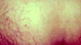 Exciting Mexican Adventure on December 4th 2015!