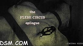 beauty bound for ball licking and doggystyle fucking