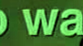 Me Follo a Mi Jefe Para Evitar el Despido!