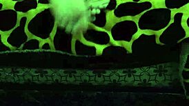 Mery rito fan appreciation event