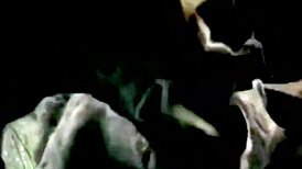 Intense Threesome Foot Worship with Dani Skyli