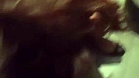 Morena Casada Seduces Stranger at Gloryhole with Skill