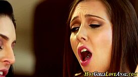 Why do lesbians toy ass holes?