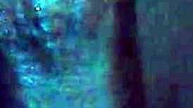 Nikki Deepthroats Big Black Cock for Facial