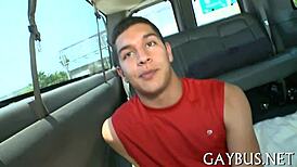 Intimate rod riding session with passionate gays