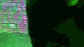 In a casual tale, a liberal ballad unfolds with big ass and natural tits, old balloon, cuckold vibes, tanned latina in interracial scene.