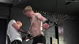 Young Jock Jesse Stone Faces Total Domination in BDSM Dungeon - Dreamboybondage Com