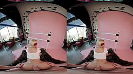 Bridgette b the flamenco dancer puts on a show