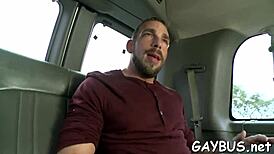 Gay Bear Porn Episodes Highlighting Dominant Roles