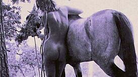 Dark Lantern Entertainment представляет винтажных натурщиц