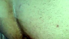 hey, getting that bahian bull bareback in my ass feels so intense