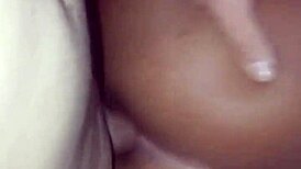 Branquinho pounds brunette's ass