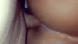 Branquinho pounds brunette's ass