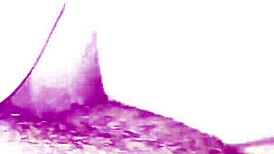 fuck my husband's brother hard and deep right now!