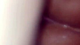 Branquinho pounds brunette's ass