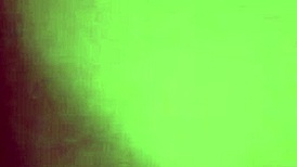 Amateur couple and a dog in a bareback threesome