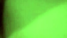 Amateur couple and a dog in a bareback threesome