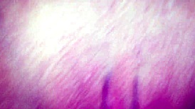 Girlfriend's Great Ass And Tight Pussy In Pov, Intense Ass Licking Action