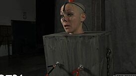 아마추어들이 하드코어 보지 빨기와 자지 경쟁에서 오르가즘 도달!