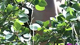 Hey, willst du Andi Pink nackt im wilden Wald strippen sehen?