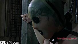 the story of whipping a wicked sweetheart who sucks cock roughly