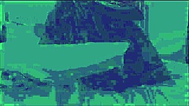 its real life with tattoos and trans