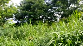 Safada neguinha estoranu a bucetinha perdenu