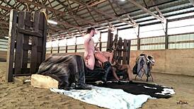 Cowboys and Indians tale with Sloan Rider, Coach Cardher, and Randy Denmark in wild group action. Danish and Indian mix in steamy doggystyle.