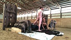 Cowboys and Indians tale with Sloan Rider, Coach Cardher, and Randy Denmark in wild group action. Danish and Indian mix in steamy doggystyle.