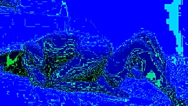 Authentic homemade amateur footage