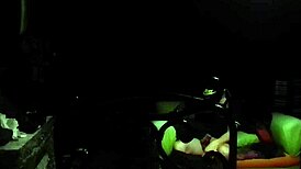 Quick morning encounter with transsexual shemale