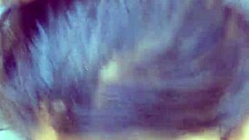 My gf sucks my dick, wants to fuck