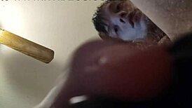 Dildo Play Intensifies Gay Toy Action