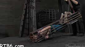 beauty experiences intense pleasures from dominant figure