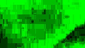 Watch Sorayyaa and friends in wild BBW action