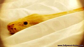 i love this asian milf's blowjob, she's so wonderful