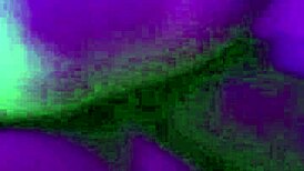 Roxy lights moans as she gets a creampie in her pussy from a big cock