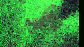 Terrah Encounters Big Dick Trick