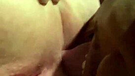 How many licks to lick bbw wife's pussy