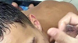 mamou at� tirar todo leite augusto phellipe